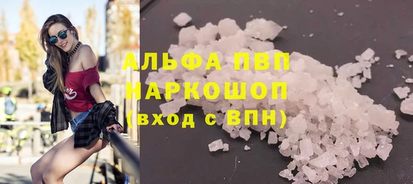 индика Богородск