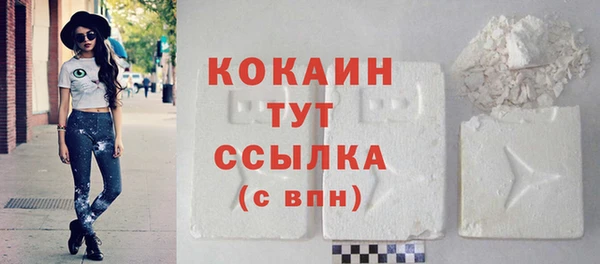 эйфоретик Бородино