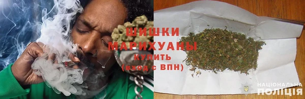 эйфоретик Бородино