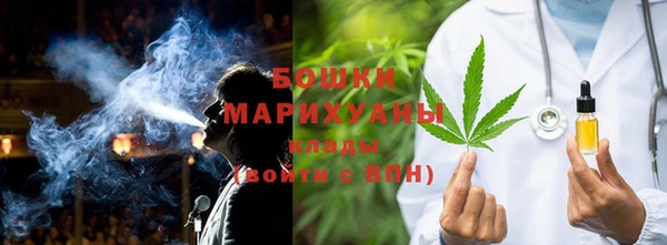 шишки Бронницы