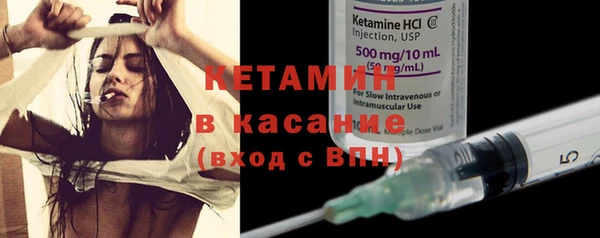 шишки Бронницы