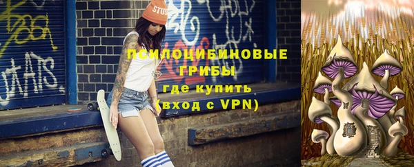 эйфоретик Бородино