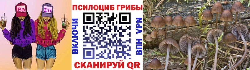 Галлюциногенные грибы мицелий  Рузаевка 